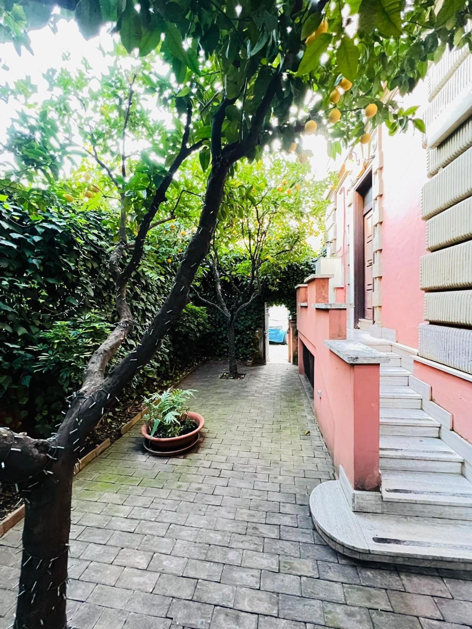 오렌지 가든 B&B 로마 외부 사진